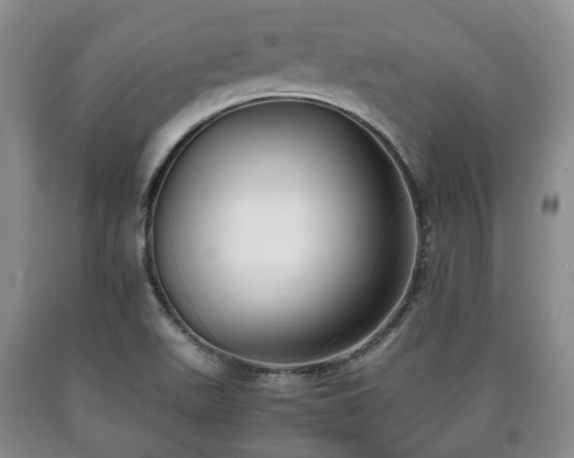 X0000090701511200707271057