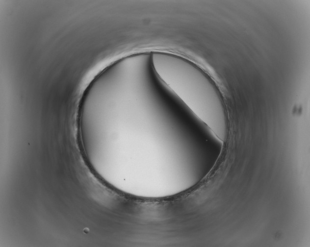 X0000090701512200707271057