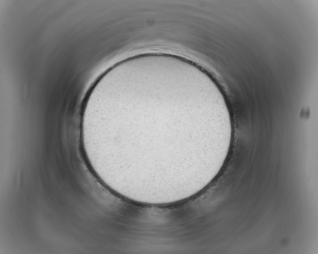 X0000090701514200707271057