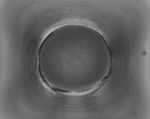 X0000090701515200707271057