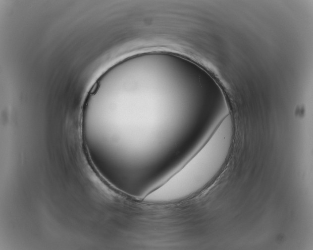 X0000090701516200707271057