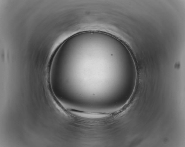 X0000090701517200707271057