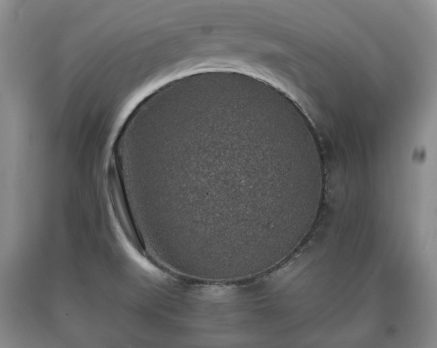 X0000090701519200707271057