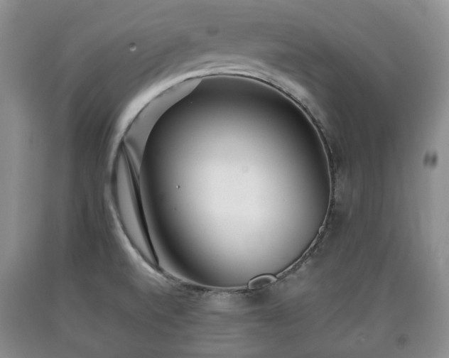 X0000090701520200707271057