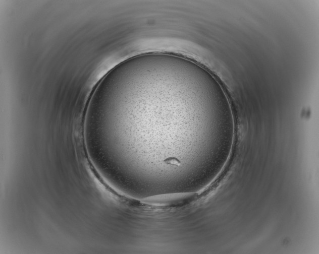 X0000090701521200707271058