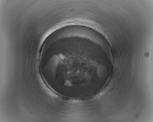 X0000090701522200707271058