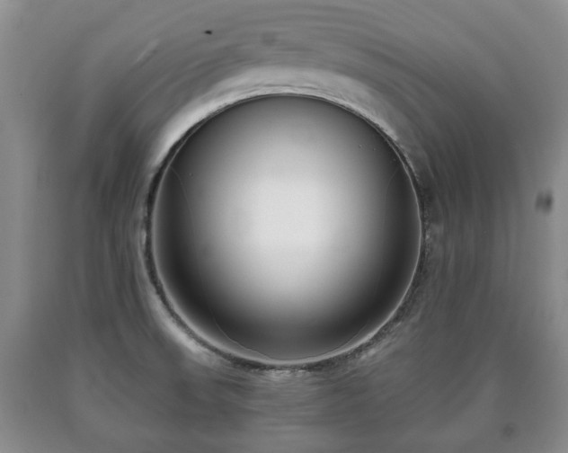 X0000090701523200707271058