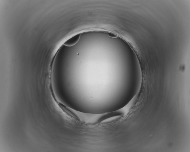 X0000090701524200707271058