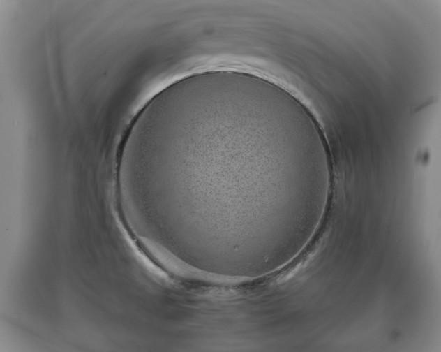 X0000090701525200707271058