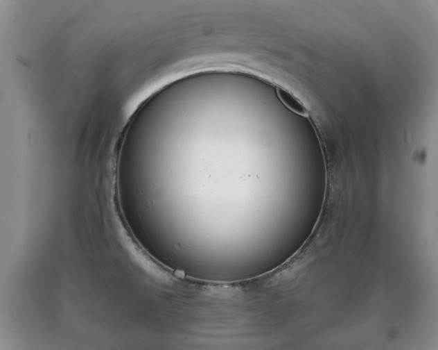 X0000090701526200707271058