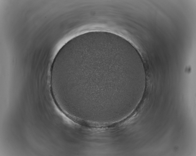 X0000090701527200707271058