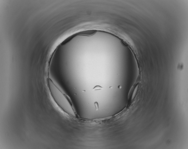 X0000090701528200707271058