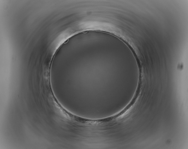 X0000090701529200707271058