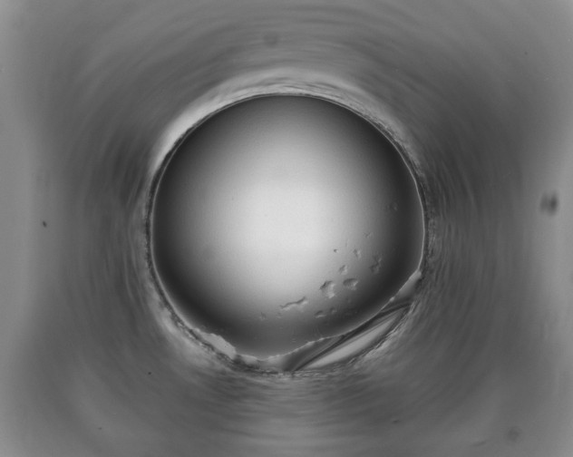 X0000090701530200707271058