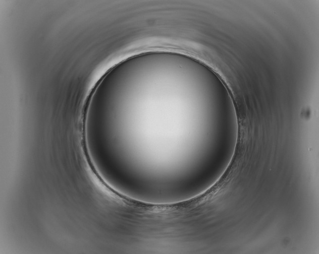 X0000090701531200707271058