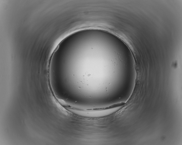 X0000090701532200707271058