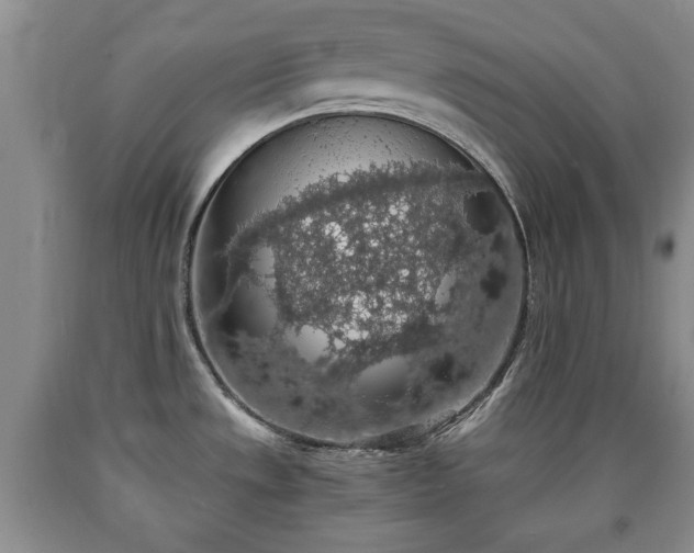 X0000090701533200707271058