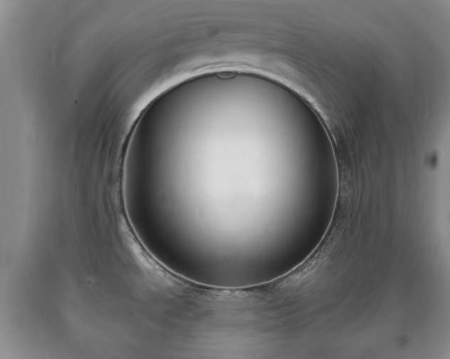 X0000090701534200707271058