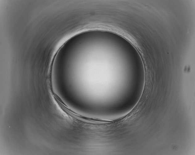 X0000090701536200707271058