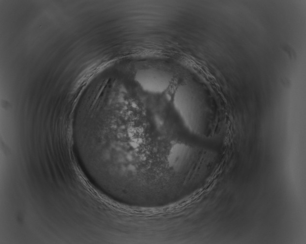 X0000090700002200708031422