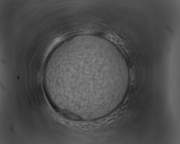 X0000090700003200708031422