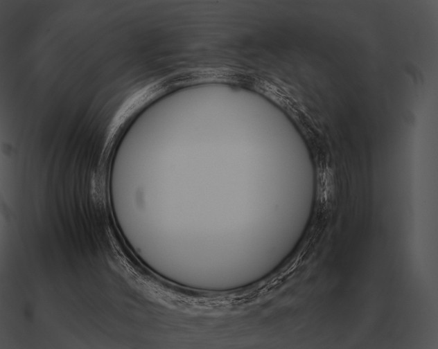 X0000090700004200708031422