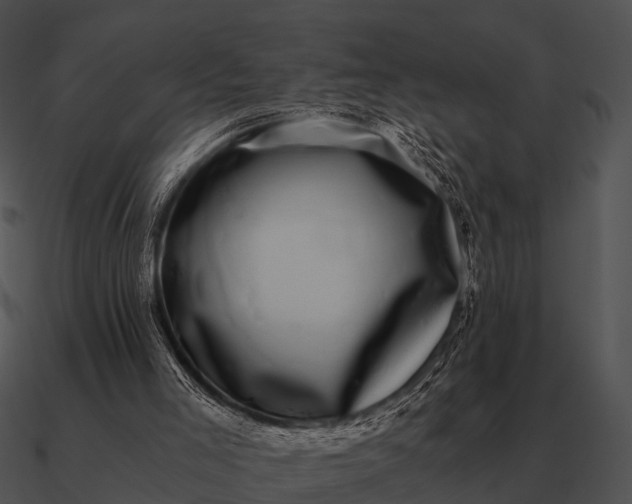 X0000090700005200708031422