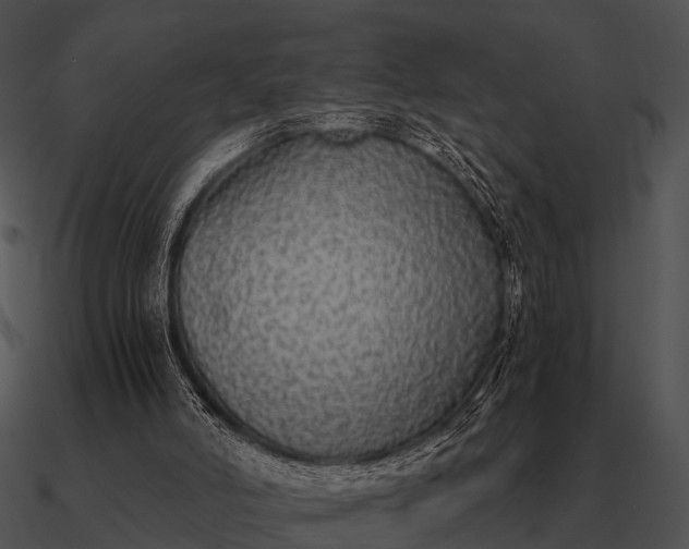 X0000090700006200708031422