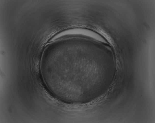 X0000090700009200708031422