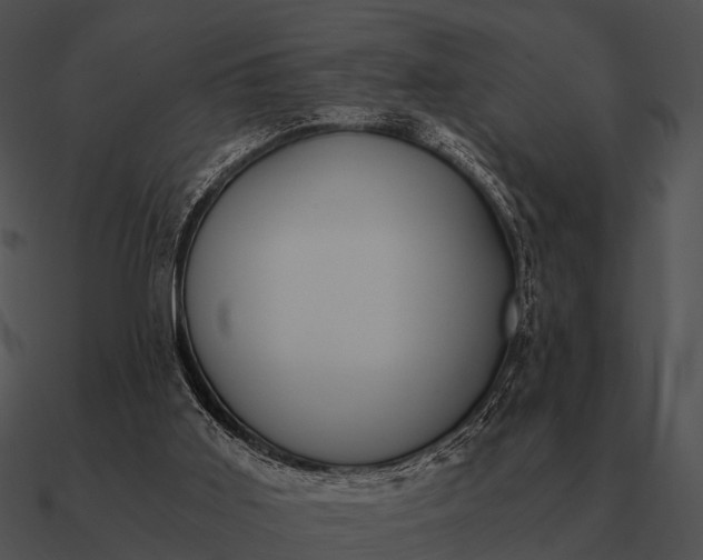 X0000090700011200708031422