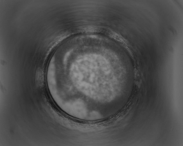 X0000090700012200708031422