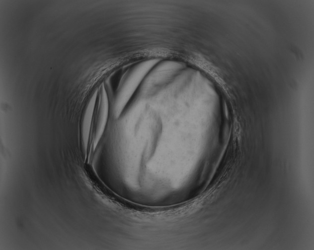 X0000090700013200708031422