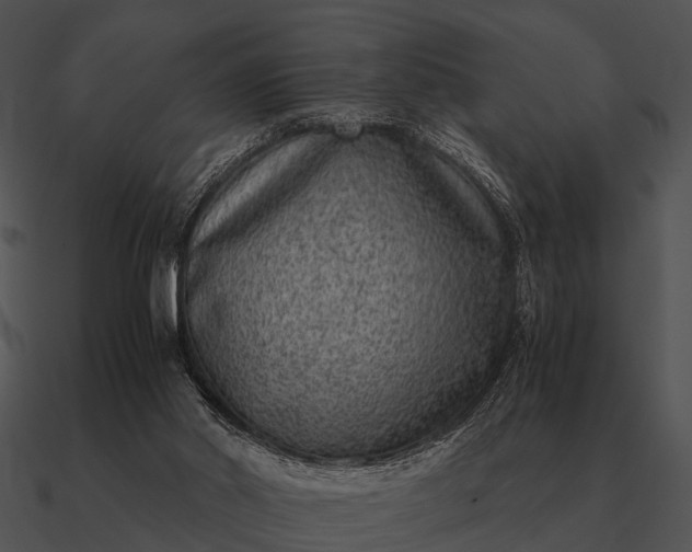 X0000090700014200708031422