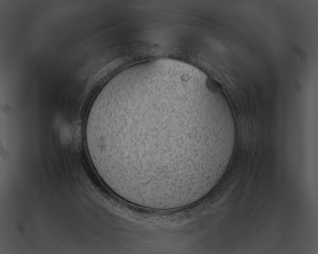 X0000090700016200708031422