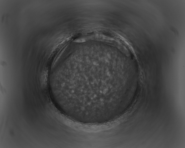 X0000090700018200708031422