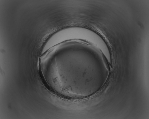 X0000090700019200708031422