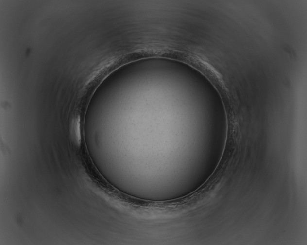 X0000090700020200708031422