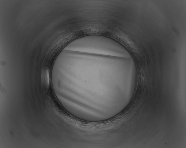 X0000090700022200708031422