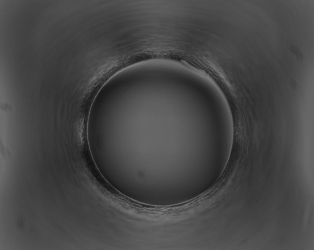 X0000090700023200708031422