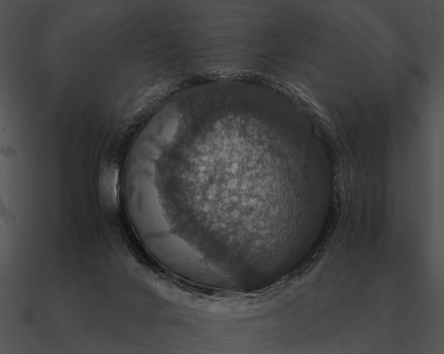 X0000090700024200708031422