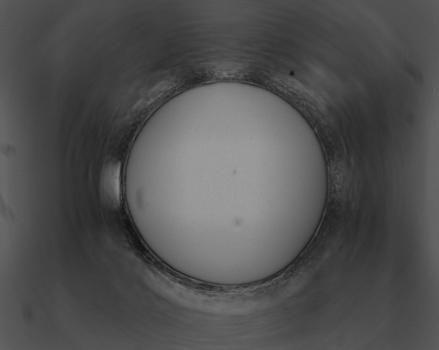 X0000090700028200708031422