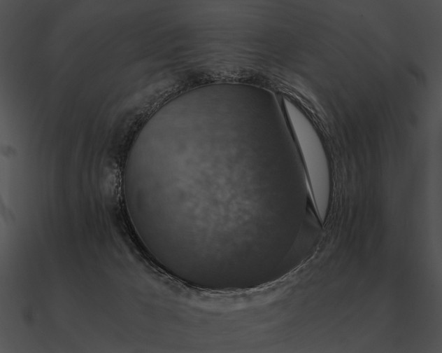 X0000090700029200708031422