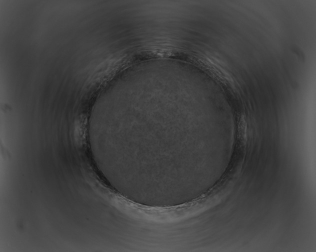 X0000090700030200708031422