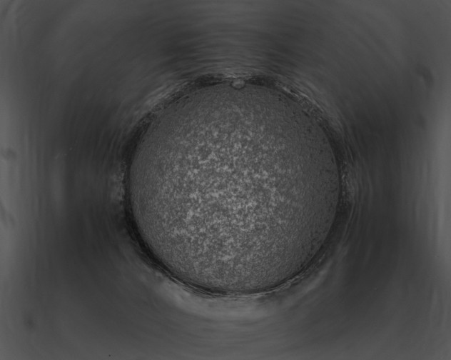 X0000090700032200708031422