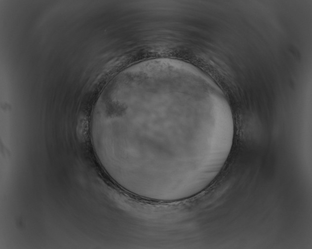 X0000090700036200708031422