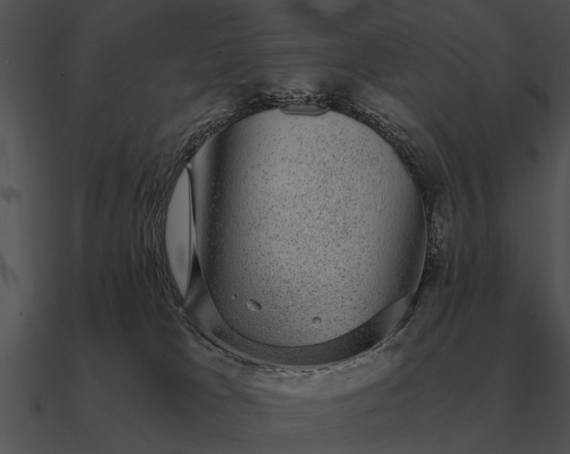 X0000090700037200708031422