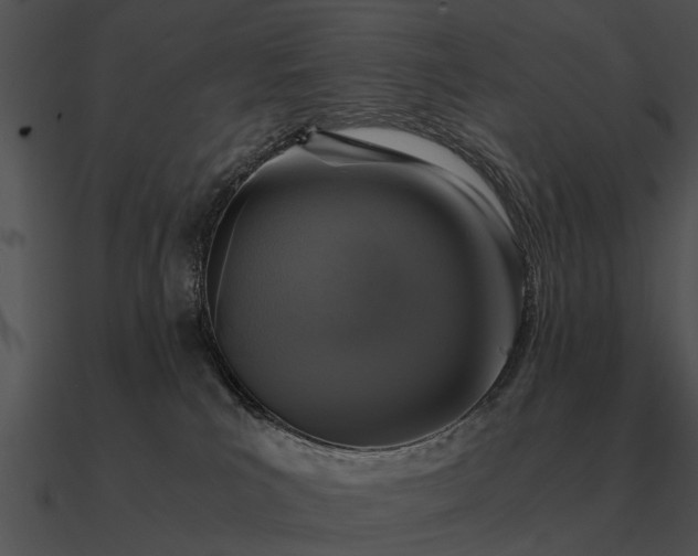 X0000090700039200708031422