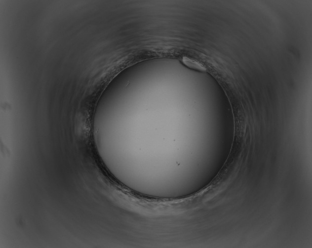 X0000090700040200708031422