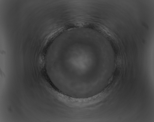 X0000090700043200708031422