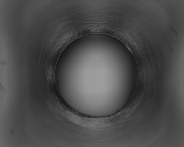 X0000090700044200708031422